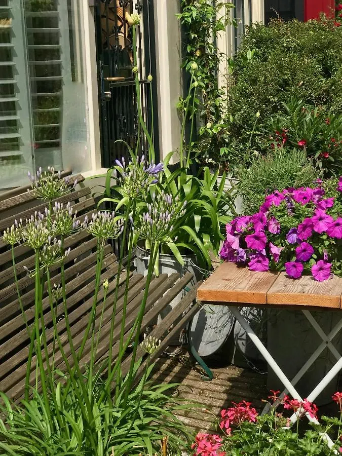 The African Lily Amsterdam Bed & Breakfast